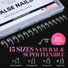 image:imageMakartt Medium Sharp Almond Nail Tips Hybrid Almondetto Shape 15 Sizes Clear Full Cover Fake Nails Extension 240PCS Half Matte Soft Gel Tips for DIY Nail Lovers Presson Creators Salon Supplies240 PCSMedium Stiletto Almond