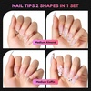 image:imageMakartt Long Almond amp XL Tapered Square Nail Tips with BuiltIn Shaping Guides 2 Shapes in 1 Box15 Sizes PreEtched Matte Inside False Nails for Nail Extension DIY Salon Manicure Supplies 384pcsMedium Almond  Medium Coffin